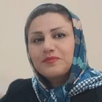 مانا ضامن